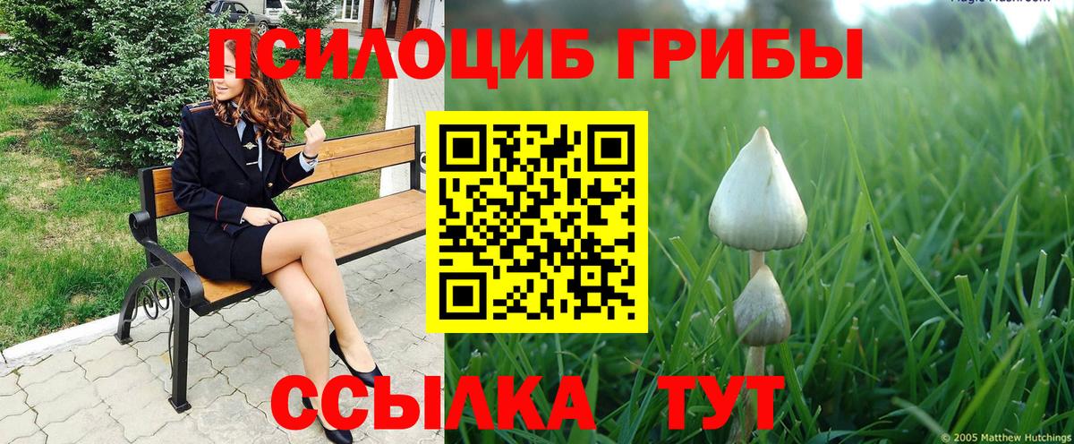 Псилоцибиновые грибы ЛСД  Вход с VPN  Звенигород  Галлюциногенные грибы GOLDEN TEACHER 